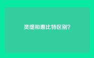 灵缇和惠比特区别？