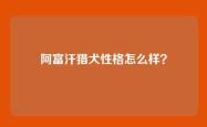 阿富汗猎犬性格怎么样？