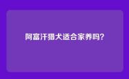 阿富汗猎犬适合家养吗？