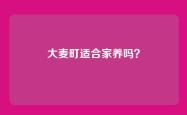 大麦町适合家养吗？