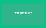 大麦町吃什么？