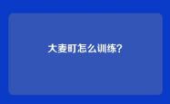 大麦町怎么训练？