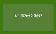 大白熊为什么像熊？
