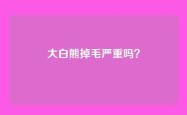 大白熊掉毛严重吗？
