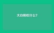 大白熊吃什么？