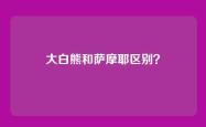 大白熊和萨摩耶区别？