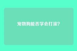 宠物狗能否学会打滚？