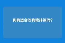 狗狗适合吃狗粮拌饭吗？