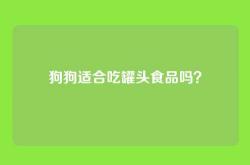 狗狗适合吃罐头食品吗？