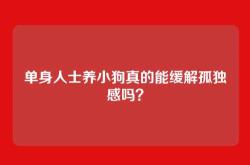 单身人士养小狗真的能缓解孤独感吗？