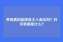 养狗真的能降低主人血压吗？科学依据是什么？