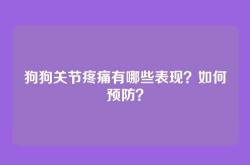 狗狗关节疼痛有哪些表现？如何预防？