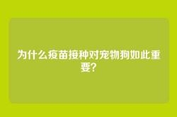 为什么疫苗接种对宠物狗如此重要？