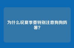 为什么说夏季要特别注意狗狗防暑？