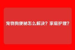 宠物狗便秘怎么解决？家庭护理？