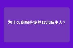 为什么狗狗会突然攻击陌生人？