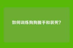 如何训练狗狗握手和装死？