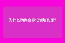 为什么狗狗会标记领地乱尿？