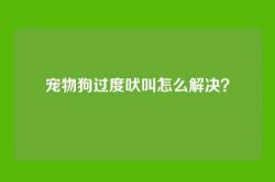 宠物狗过度吠叫怎么解决？