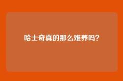 哈士奇真的那么难养吗？