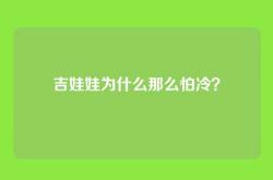 吉娃娃为什么那么怕冷？