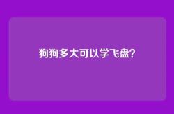 狗狗多大可以学飞盘？