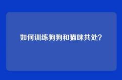 如何训练狗狗和猫咪共处？