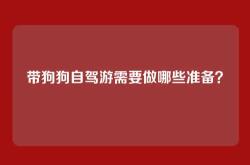 带狗狗自驾游需要做哪些准备？