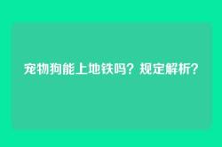 宠物狗能上地铁吗？规定解析？