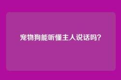 宠物狗能听懂主人说话吗？