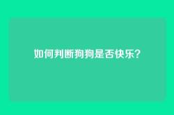 如何判断狗狗是否快乐？