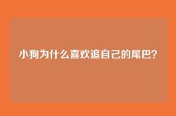 小狗为什么喜欢追自己的尾巴？