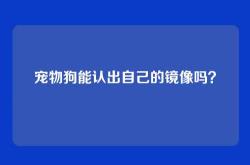 宠物狗能认出自己的镜像吗？