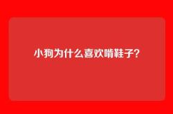 小狗为什么喜欢啃鞋子？