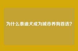为什么泰迪犬成为城市养狗首选？