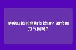 萨摩耶掉毛期如何管理？适合南方气候吗？