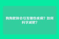 狗狗肥胖会引发哪些疾病？如何科学减肥？