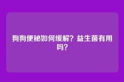 狗狗便秘如何缓解？益生菌有用吗？