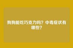 狗狗能吃巧克力吗？中毒症状有哪些？