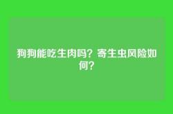 狗狗能吃生肉吗？寄生虫风险如何？