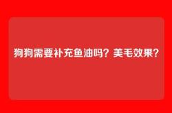 狗狗需要补充鱼油吗？美毛效果？
