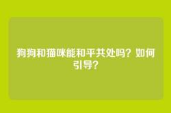 狗狗和猫咪能和平共处吗？如何引导？