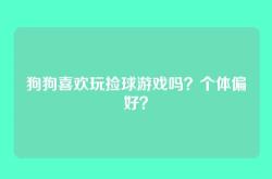 狗狗喜欢玩捡球游戏吗？个体偏好？
