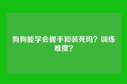 狗狗能学会握手和装死吗？训练难度？