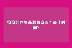 狗狗能忍受高温遛弯吗？最佳时间？