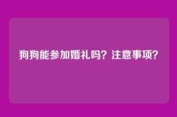 狗狗能参加婚礼吗？注意事项？
