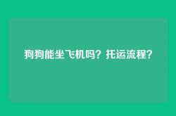 狗狗能坐飞机吗？托运流程？