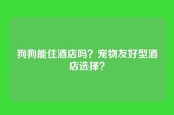 狗狗能住酒店吗？宠物友好型酒店选择？