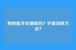 狗狗能学会滑板吗？平衡训练方法？