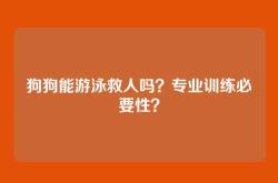 狗狗能游泳救人吗？专业训练必要性？